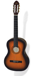 Гитара Rio RGC-2-SB