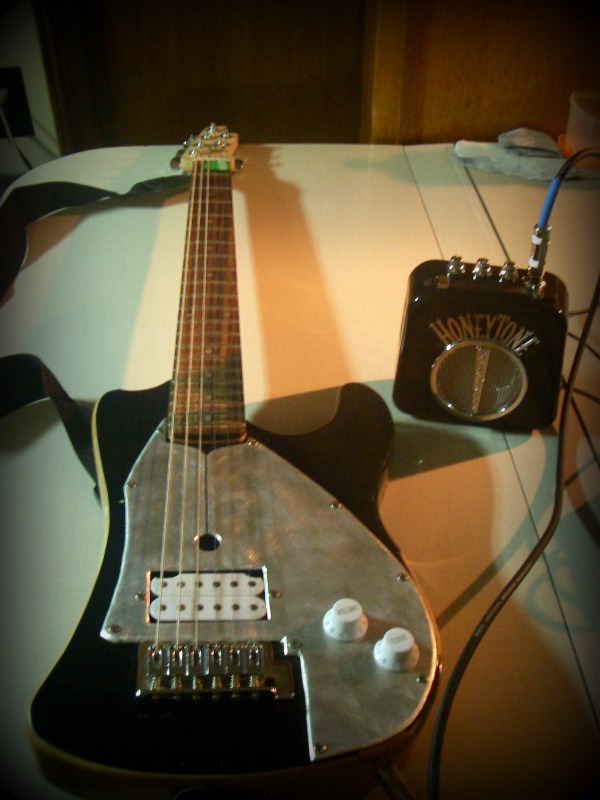 Danelectro N10