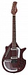 sitar.jpeg
