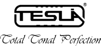 tesla2.png