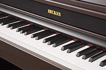 Цифровое пианино Becker BAP-62R - 6