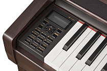 Цифровое пианино Becker BAP-62R - 4