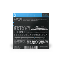 комплект струн для 7 струнной электрогитары 10 - 59 D'Addario EXL110-7 - 1