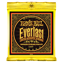 Струны для акустической гитары Ernie Ball P02558