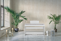 Цифровое пианино Becker BSP-102W - 1