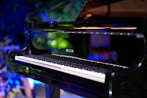 Рояль  Becker CBGP-186PB - 1