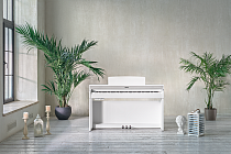 Цифровое пианино Becker BAP-62W - 5