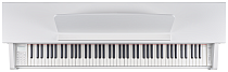 Цифровое пианино Becker BAP-62W - 6