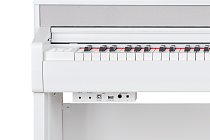 Цифровое пианино Becker BAP-62W - 2