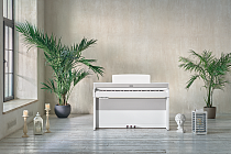 Цифровое пианино Becker BAP-72W - 4