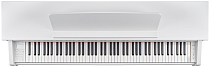 Цифровое пианино Becker BAP-72W - 4