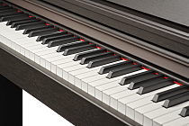 Цифровое пианино Becker BDP-82R - 2