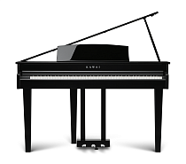 Цифровое пианино Kawai DG30 - 1