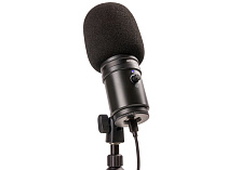 USB микрофон Zoom ZUM-2 - 2