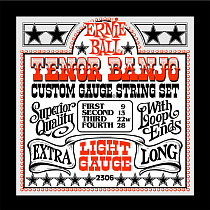 Струны для банджо Ernie Ball P02306
