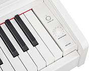 Цифровое пианино Becker BDP-92W - 2