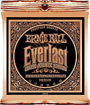 Струны для акустической гитары Ernie Ball P02544