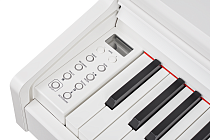 Цифровое пианино Becker BDP-92W - 1