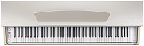 Цифровое пианино Becker BDP-82W - 4