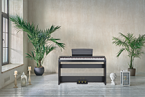 Цифровое пианино Becker BSP-102B - 2