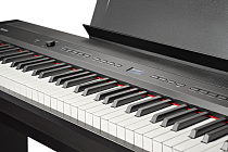 Цифровое пианино Becker BSP-102B - 1