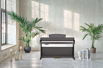 Цифровое пианино Becker BDP-82R - 1