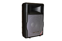 Активная колонка Torque TP3015A - 2