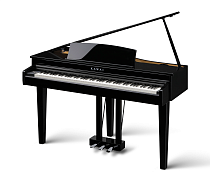 Цифровое пианино Kawai DG30 - 0