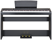 Цифровое пианино Becker BSP-102B - 1