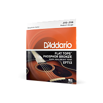 комплект струн для резонаторной гитары 16 - 56 D'Addario EFT13 - 1