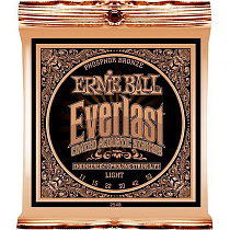 Струны для акустической гитары Ernie Ball P02548