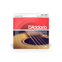 комплект струн для акустической гитары 13 - 56 D'Addario EJ24 - 0